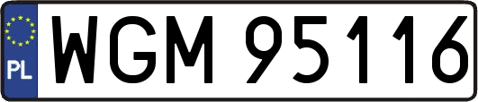 WGM95116