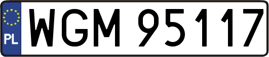 WGM95117