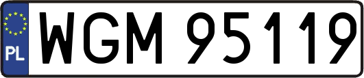 WGM95119