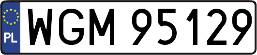 WGM95129