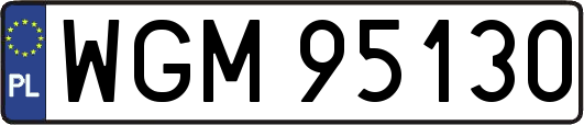WGM95130