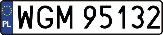 WGM95132