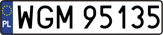 WGM95135
