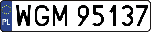WGM95137