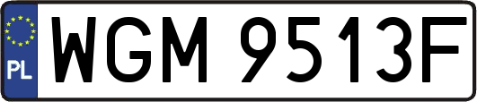 WGM9513F