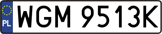WGM9513K