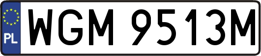 WGM9513M