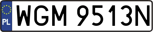 WGM9513N