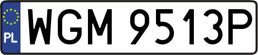 WGM9513P