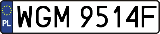 WGM9514F