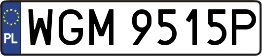 WGM9515P
