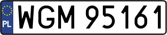 WGM95161