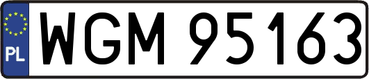 WGM95163