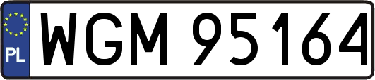 WGM95164