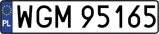 WGM95165