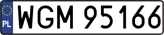 WGM95166