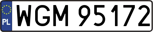 WGM95172