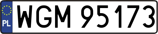 WGM95173