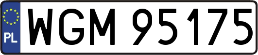 WGM95175