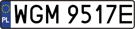 WGM9517E