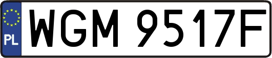 WGM9517F