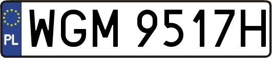 WGM9517H