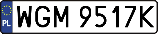 WGM9517K
