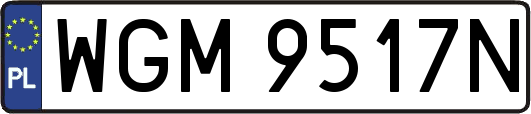 WGM9517N