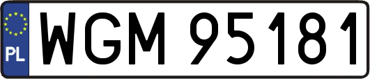 WGM95181