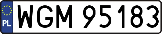 WGM95183