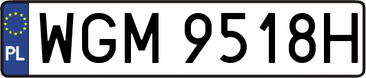 WGM9518H