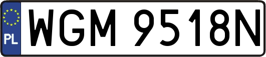 WGM9518N