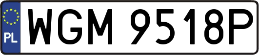 WGM9518P