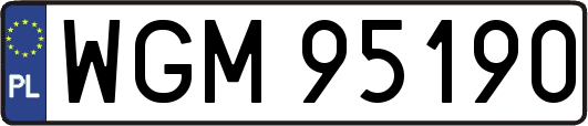 WGM95190