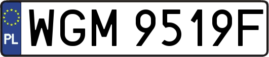 WGM9519F