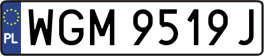 WGM9519J