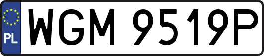 WGM9519P