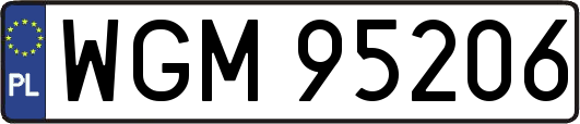 WGM95206