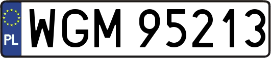 WGM95213