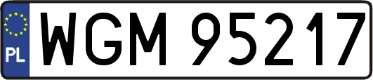 WGM95217
