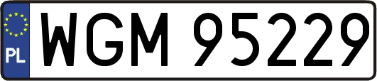 WGM95229