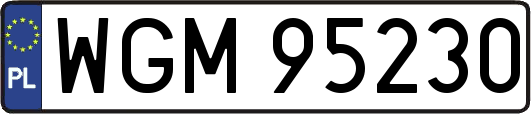 WGM95230