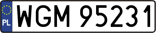 WGM95231