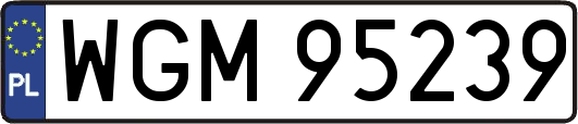 WGM95239