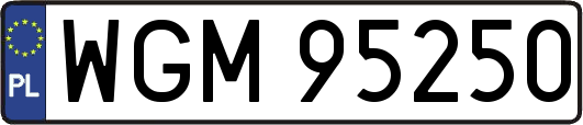 WGM95250