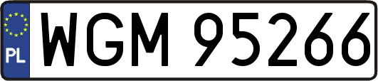 WGM95266