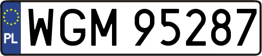 WGM95287