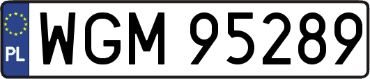 WGM95289