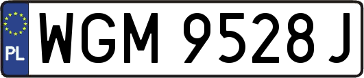 WGM9528J