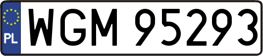WGM95293
